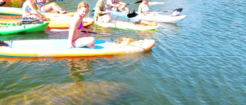 paddle tour in Boca Grande