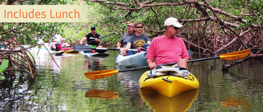 don pedro island paddleboard tour